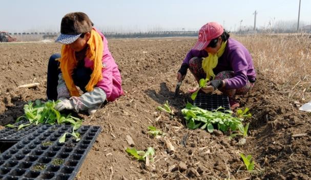 ���2022���r(n��ng)�I(y��)���a(ch��n)��һ�� ���u��ī�^(q��)�������M��������