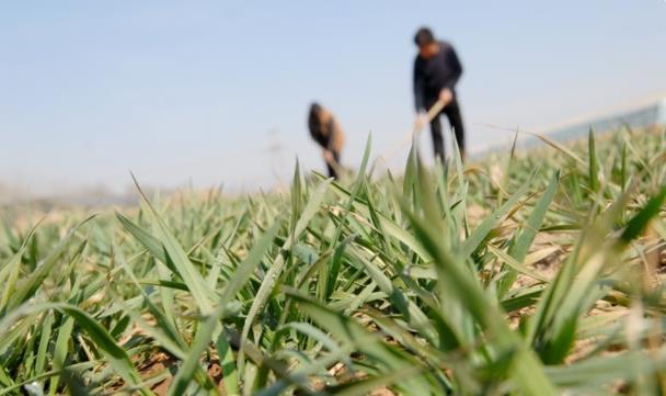 ���2022���r(n��ng)�I(y��)���a(ch��n)��һ�� ���u��ī�^(q��)�������M��������