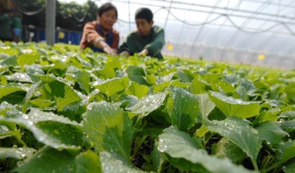 ���2022���r(n��ng)�I(y��)���a(ch��n)��һ�� ���u��ī�^(q��)�������M��������