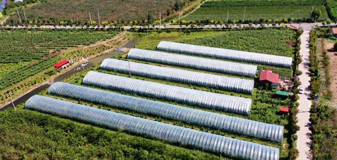 ����Ԓ�S�գ����u�м�ī�^(q��)��Ȫ�ֵ����o����ϲ�S�� ����ܛŴ���ː�