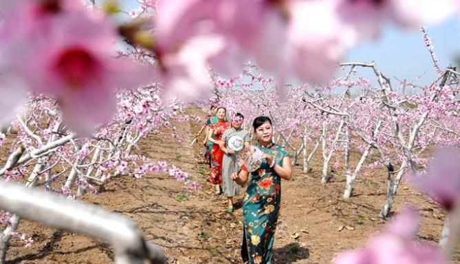 ���u�м�ī�^(q��)�һ�ʢ�_(k��i)ӭ�ο� �r(n��ng)���ںϴ��¸�