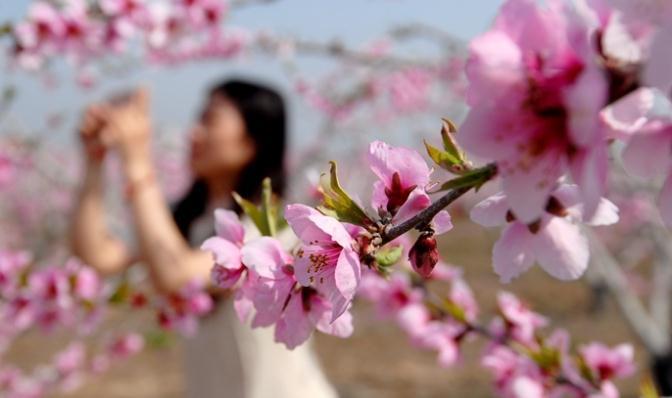 ���u�м�ī�^(q��)�һ�ʢ�_(k��i)ӭ�ο� �r(n��ng)���ںϴ��¸�