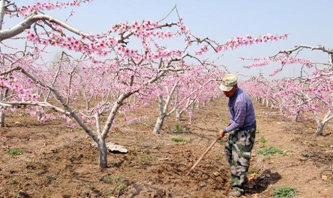 ���u�м�ī�^(q��)�һ�ʢ�_(k��i)ӭ�ο� �r(n��ng)���ںϴ��¸�