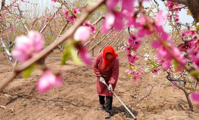 ���u��ī�^(q��)����r(sh��)��(ji��)�r(n��ng)��æ