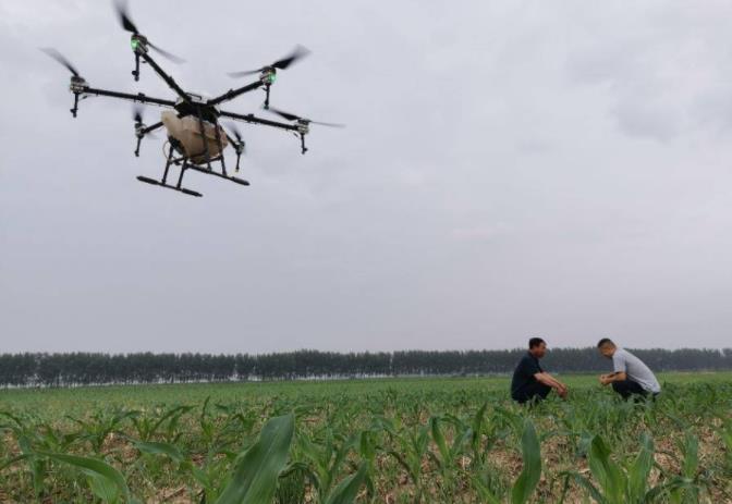 һ���ܽo800���ش�ˎ���o�˙C(j��)ֲ��������ī�r(n��ng)�I(y��)���|(zh��)��Ч